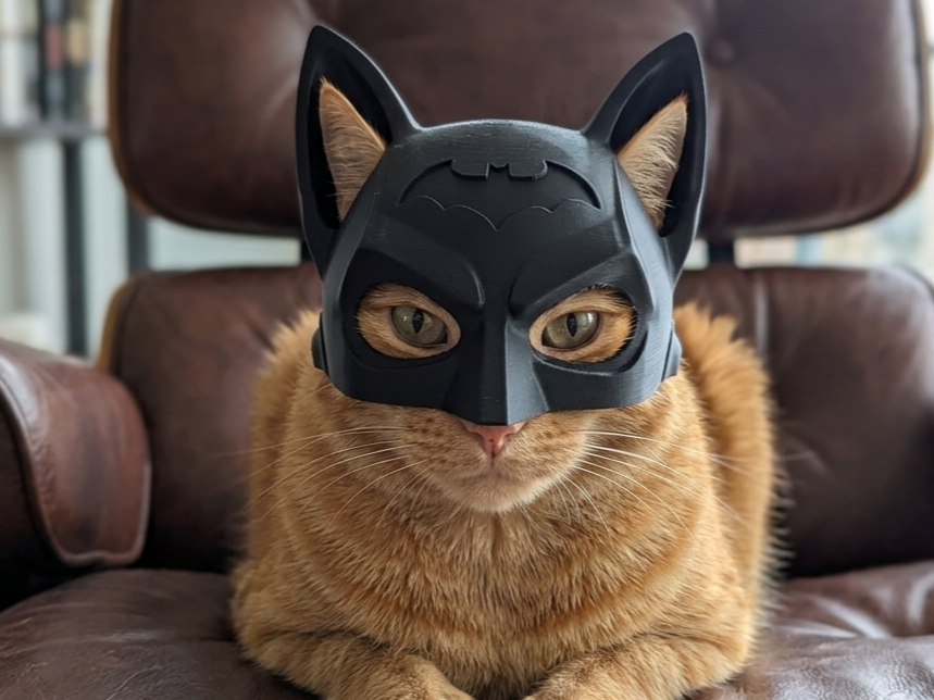 Batman Cat Helmet